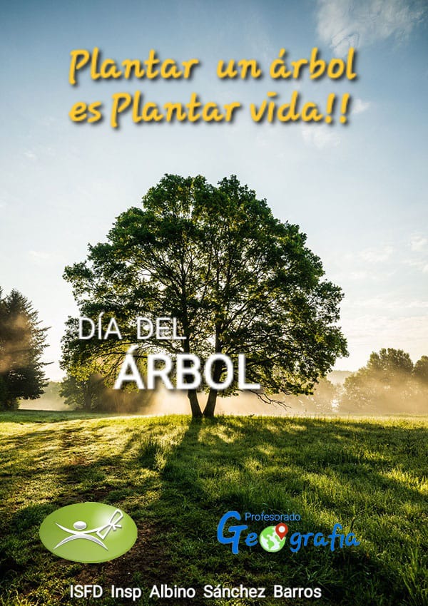 28 de junio: Día Mundial del árbol