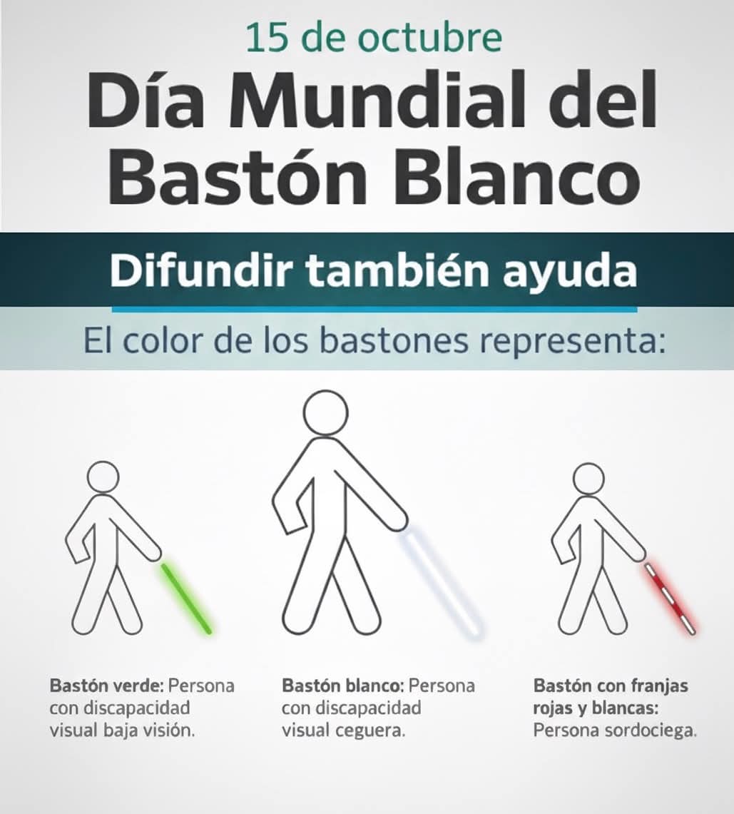¡Feliz Día Internacional del Bastón Blanco! - Publicación Supervisión Nivel Superior Zona IV 